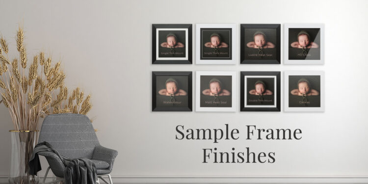 Sample Frame Finishes