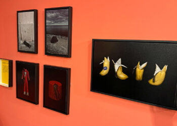 I Photograph Comedians