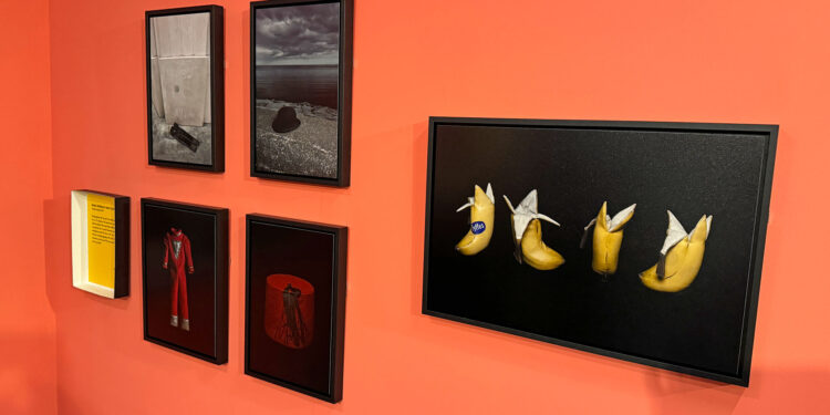 I Photograph Comedians