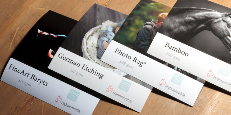 Hahnemühle Paper