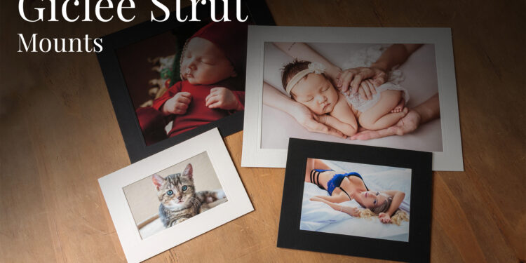 Giclée Strut Mounts