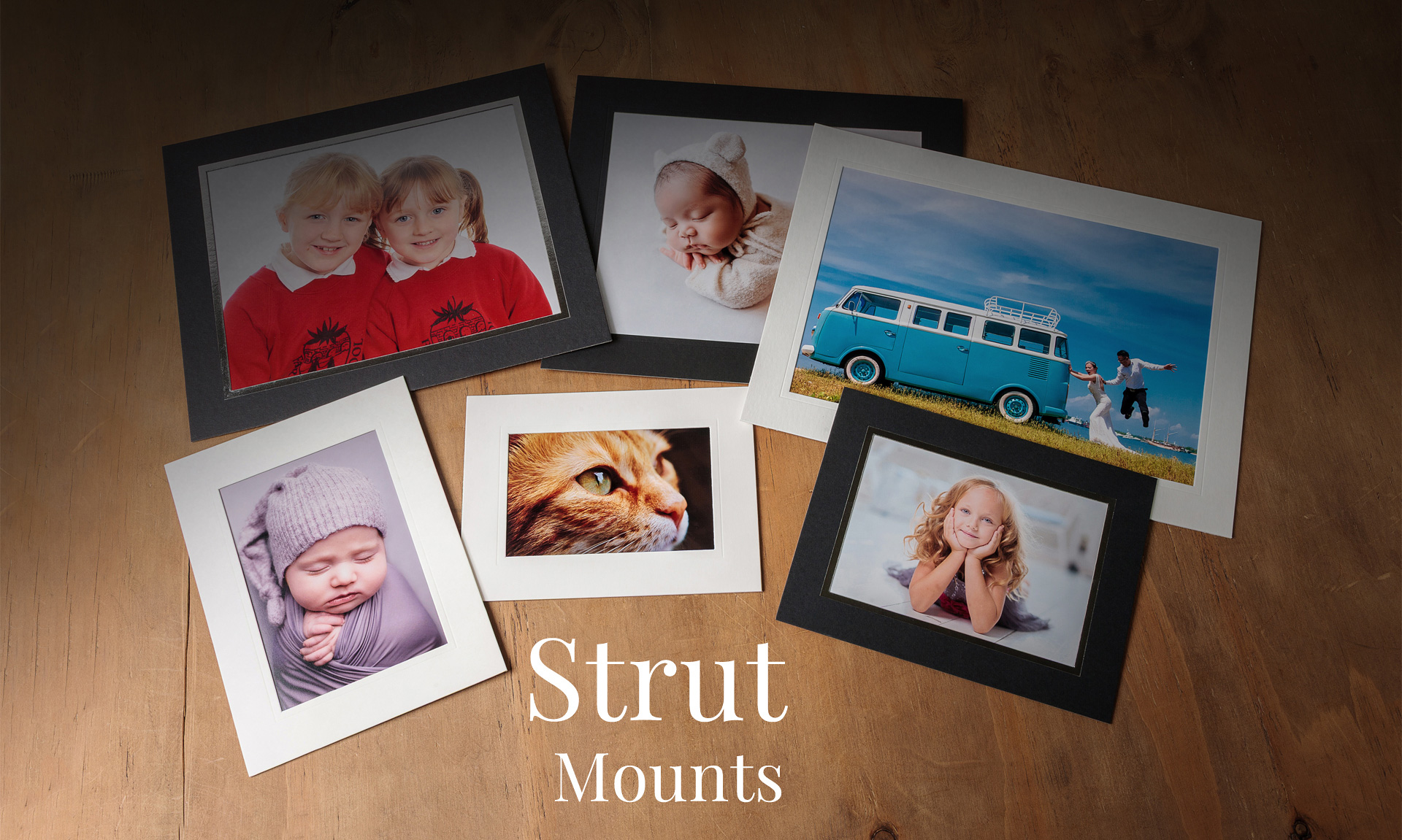 Strut Mounts